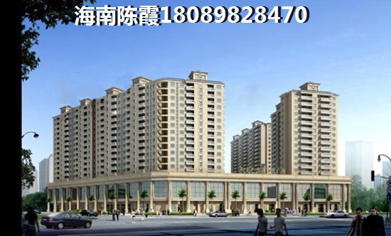 雅安醉新房价多少钱？